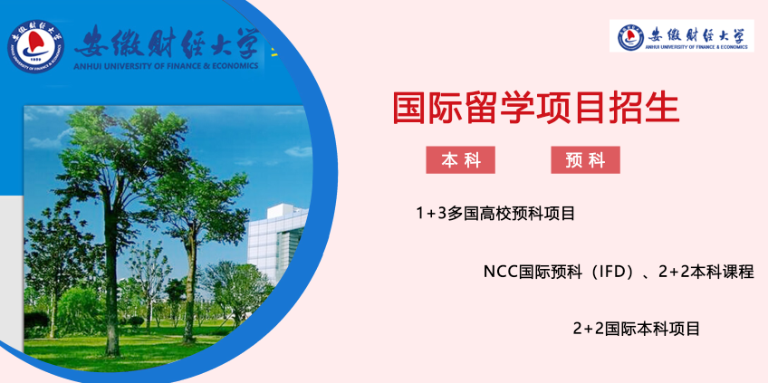 安徽财经大学